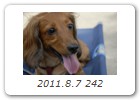 2011.8.7 242