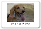 2011.8.7 258