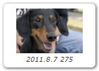 2011.8.7 275
