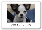 2011.8.7 329