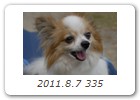 2011.8.7 335