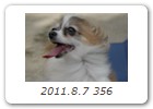 2011.8.7 356