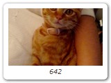 642