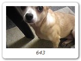 643