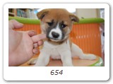 654