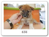 656