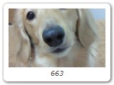 663