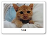674
